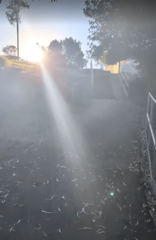Stairs on a morning walk